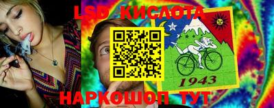 прущие грибы Заводоуковск