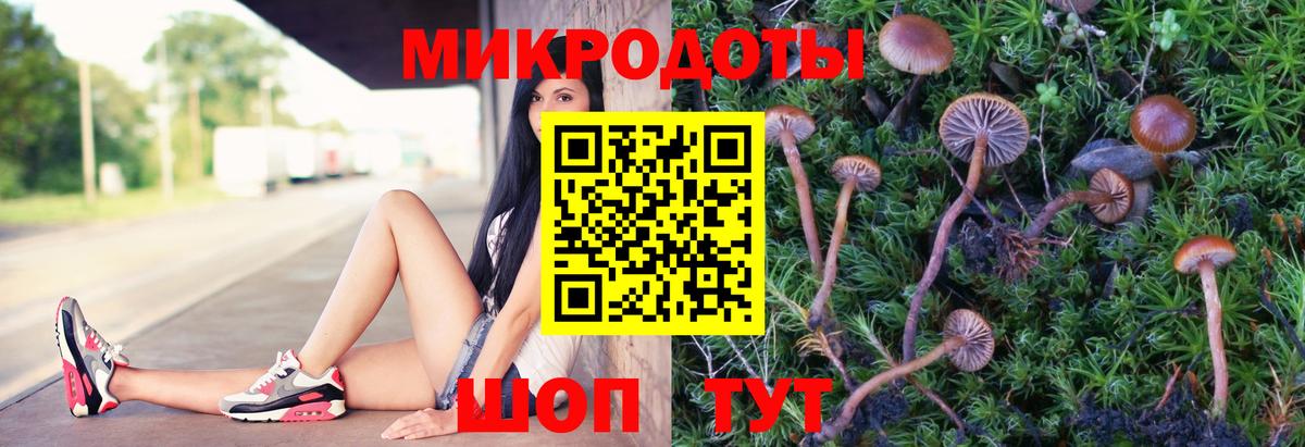 Псилоцибиновые грибы прущие грибы  Псилоцибиновые грибы мицелий  Лосино-Петровский  Вход с VPN 